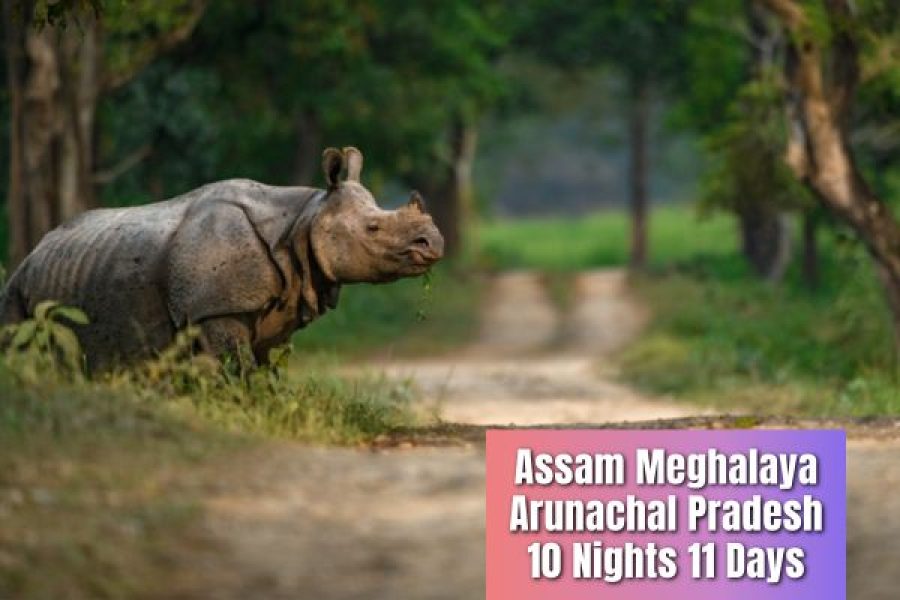 Assam Meghalaya Arunachal Pradesh 10 Nights 11 Days