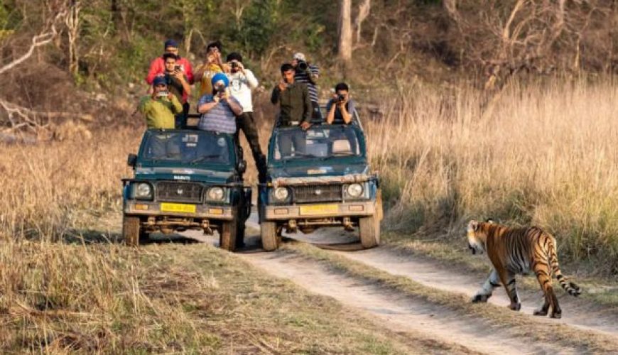 Jim Corbett